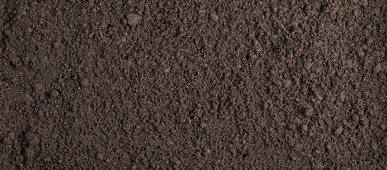 Soil Sampling